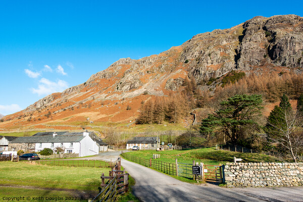 Middle Fell Farm and Raven Crag, Great Langdale Picture Board by Keith Douglas