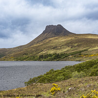 Buy canvas prints of Stac Pollaidh by Keith Douglas