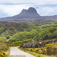 Buy canvas prints of Suilven from the North West by Keith Douglas