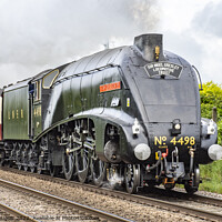 Buy canvas prints of Sir Nigel Gresley Steam Locomotive by Keith Douglas