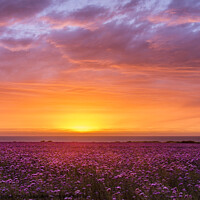 Buy canvas prints of Sunset at Godrevey, Cornwall by Keith Douglas