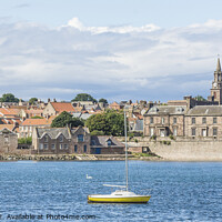 Buy canvas prints of The Quay and Harbour, Berwick upon Tweed by Keith Douglas