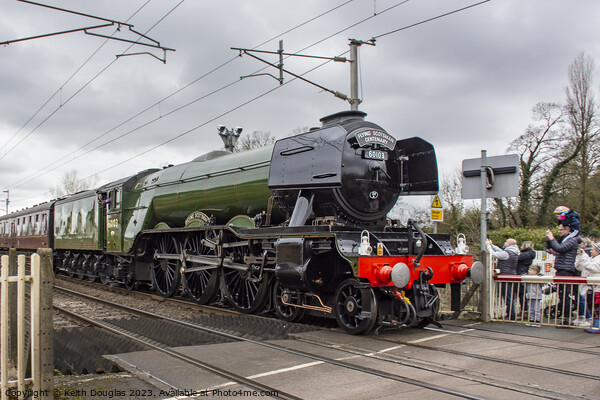 Flying Scotsman at Bolton le Sands Picture Board by Keith Douglas