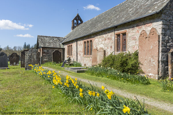 Daffodils at St Catherine's Church, Boot, Eskdale Picture Board by Keith Douglas