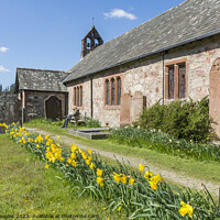 Buy canvas prints of Daffodils at St Catherine's Church, Boot, Eskdale by Keith Douglas