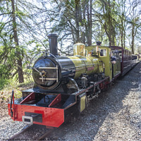 Buy canvas prints of Northern Rock Steam Locomotive by Keith Douglas