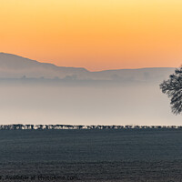 Buy canvas prints of Dawn in Shropshire by Keith Douglas