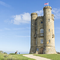 Buy canvas prints of Stag at the foot of Broadway Tower by Keith Douglas