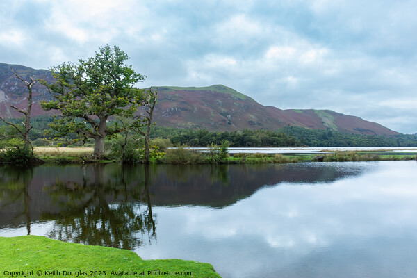 Catbells and the River Derwent Picture Board by Keith Douglas