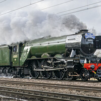 Buy canvas prints of Flying Scotsman restored by Keith Douglas