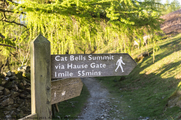 To Catbells Summit Picture Board by Keith Douglas
