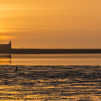 Buy canvas prints of Sunset over the Morecambe Stone Jetty by Keith Douglas