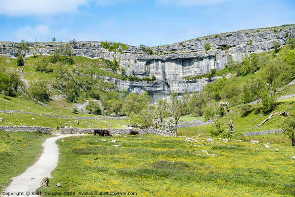Malham Cove, Yorkshire Dales, England Picture Board by Keith Douglas