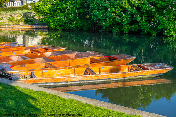 Punts moored on the River Cam in Cambridge Picture Board by Keith Douglas