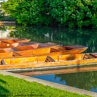 Buy canvas prints of Punts moored on the River Cam in Cambridge by Keith Douglas