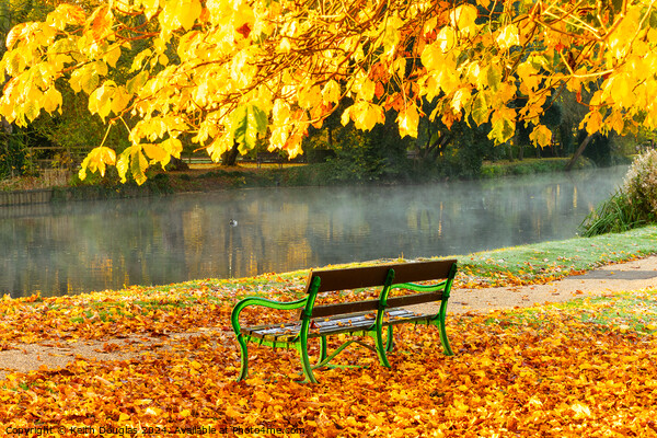 Godmanchester Bench in Autumn Picture Board by Keith Douglas