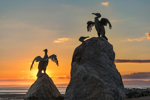 Bird Sculpture, Morecambe, at Sunset Picture Board by Keith Douglas