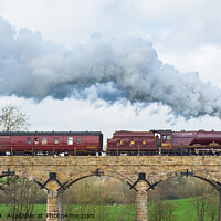 Buy canvas prints of Princess Elizabeth Steam Locomotive by Keith Douglas