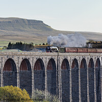 Buy canvas prints of Tornado Steam Engine on the Ribblehead Viaduct  by Keith Douglas