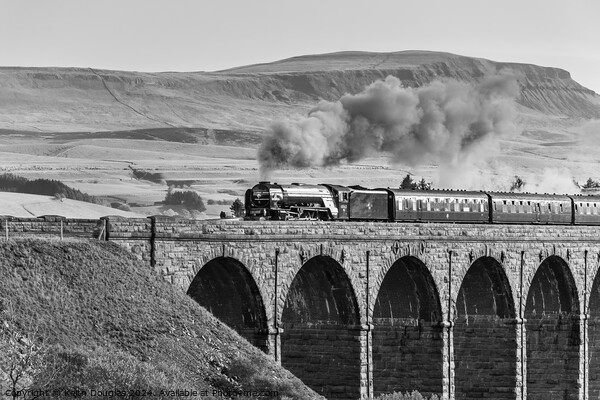 Tornado Steam Locomotive on the Ribblehead Viaduct Picture Board by Keith Douglas