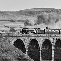Buy canvas prints of Tornado Steam Locomotive on the Ribblehead Viaduct by Keith Douglas