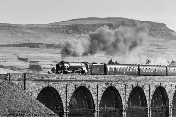 Tornado Steam Engine on the Ribblehead Viaduct (B/ Picture Board by Keith Douglas