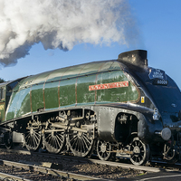 Buy canvas prints of The Union of South Africa steam locomotive by Keith Douglas