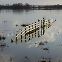 Buy canvas prints of Floating fence and gate optical illusion by Keith Douglas