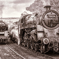 Buy canvas prints of Steam and Steam by Keith Douglas