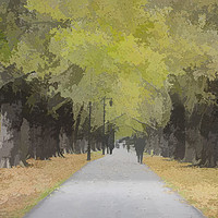 Buy canvas prints of Tree lined avenue by Keith Douglas