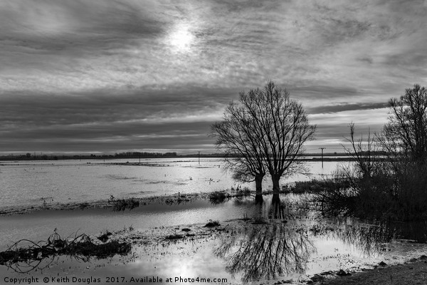 Watery sun on the Fens Picture Board by Keith Douglas