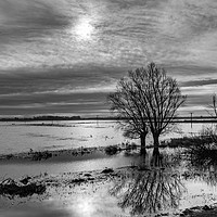 Buy canvas prints of Watery sun on the Fens by Keith Douglas