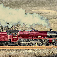Buy canvas prints of Galatea Steam Engine by Keith Douglas