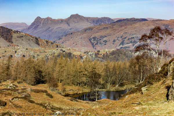 Langdale Pikes from Holme Fell Picture Board by Keith Douglas
