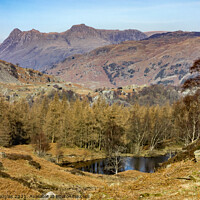 Buy canvas prints of Langdale Pikes from Holme Fell by Keith Douglas