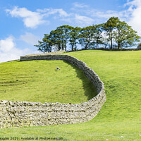 Buy canvas prints of Dales Landscape near Hawes by Keith Douglas