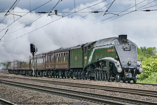 Union of South Africa Steam Locomotive, 60009 Picture Board by Keith Douglas
