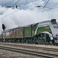 Buy canvas prints of Union of South Africa Steam Locomotive, 60009 by Keith Douglas