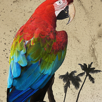 Buy canvas prints of Parrot and Palms by Paul Walker