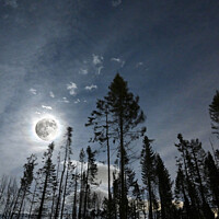 Buy canvas prints of Full moon shining through the broken wood by Mick Surphlis