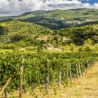 Buy canvas prints of Tuscanys countryside by Laco Hubaty