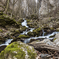 Buy canvas prints of Water stream in Zadielska valley by Laco Hubaty