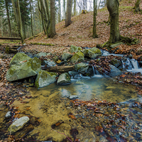 Buy canvas prints of Water stream in the forest by Laco Hubaty