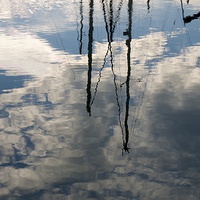 Buy canvas prints of Masts reflected by Maggie Railton