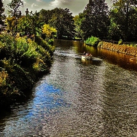 Buy canvas prints of By the river by Carmel Fiorentini