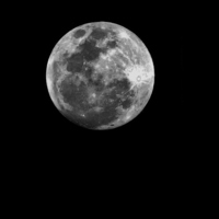 Buy canvas prints of  Super Moon by Carmel Fiorentini