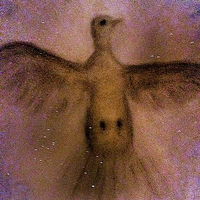 Buy canvas prints of  Heavenly Dove by Carmel Fiorentini