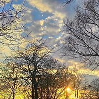 Buy canvas prints of Sunset by Carmel Fiorentini