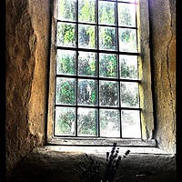 Buy canvas prints of The Window by Carmel Fiorentini