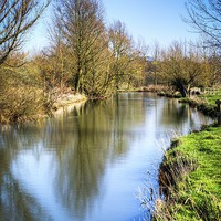 Buy canvas prints of By the Riverbank in Flatford by matthew  mallett